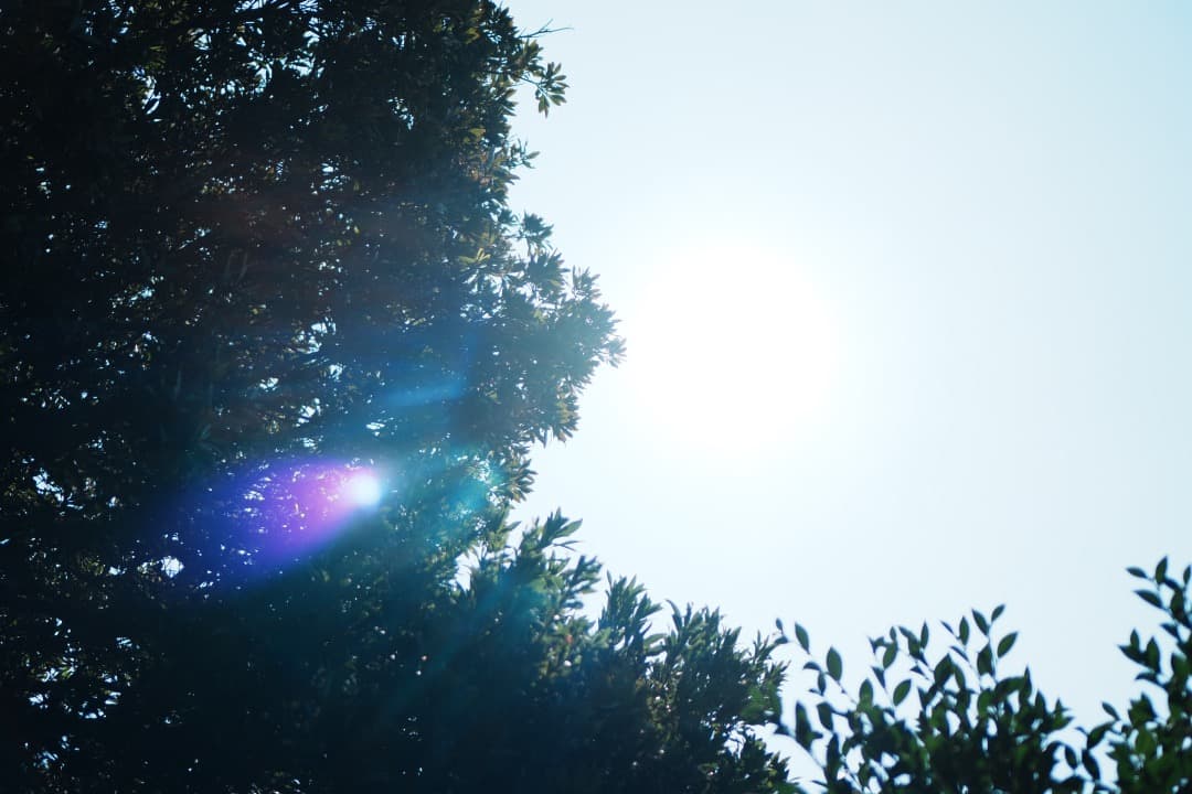 SONY E 35mm F1.8 OSS 明るく綺麗な単焦点 神レンズ 443