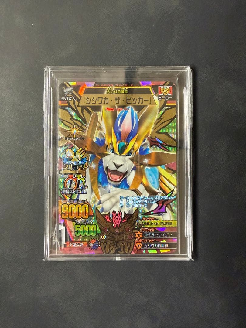 アニマルカイザー　シシワカ　究極レア　大会　3枚セット