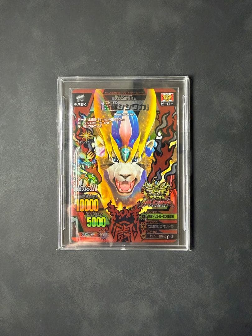 アニマルカイザー　シシワカ　究極レア　大会　3枚セット