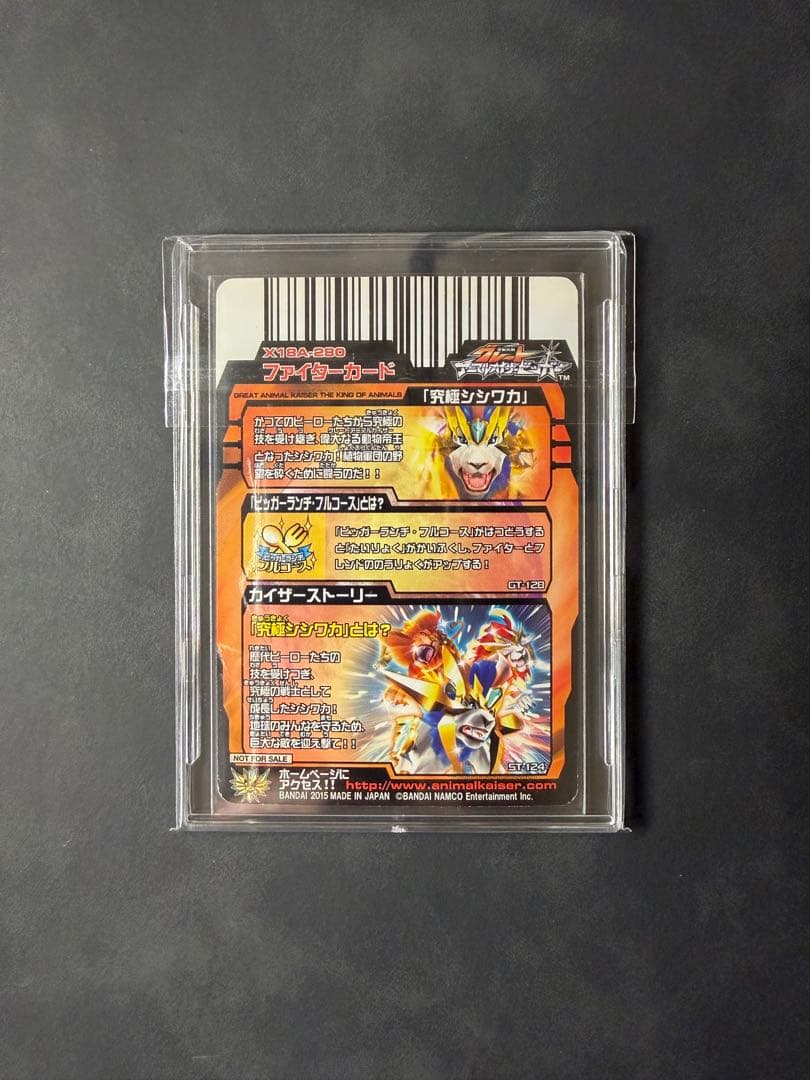 アニマルカイザー　シシワカ　究極レア　大会　3枚セット