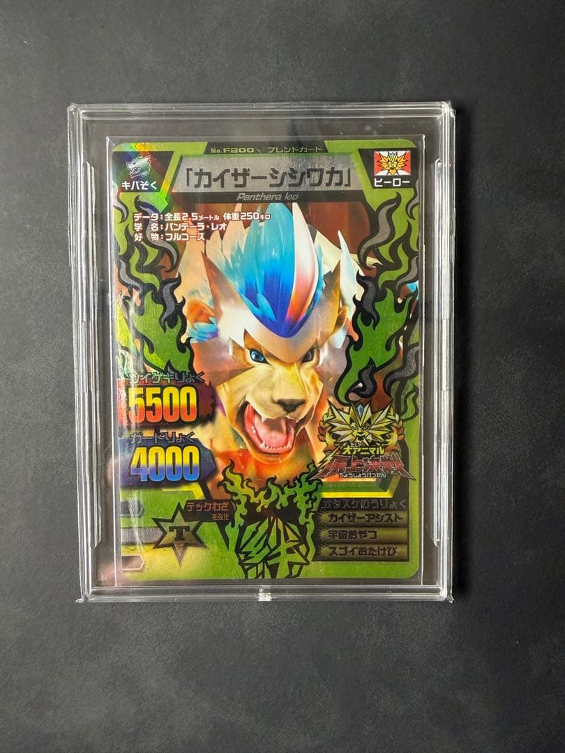 アニマルカイザー　シシワカ　究極レア　大会　3枚セット