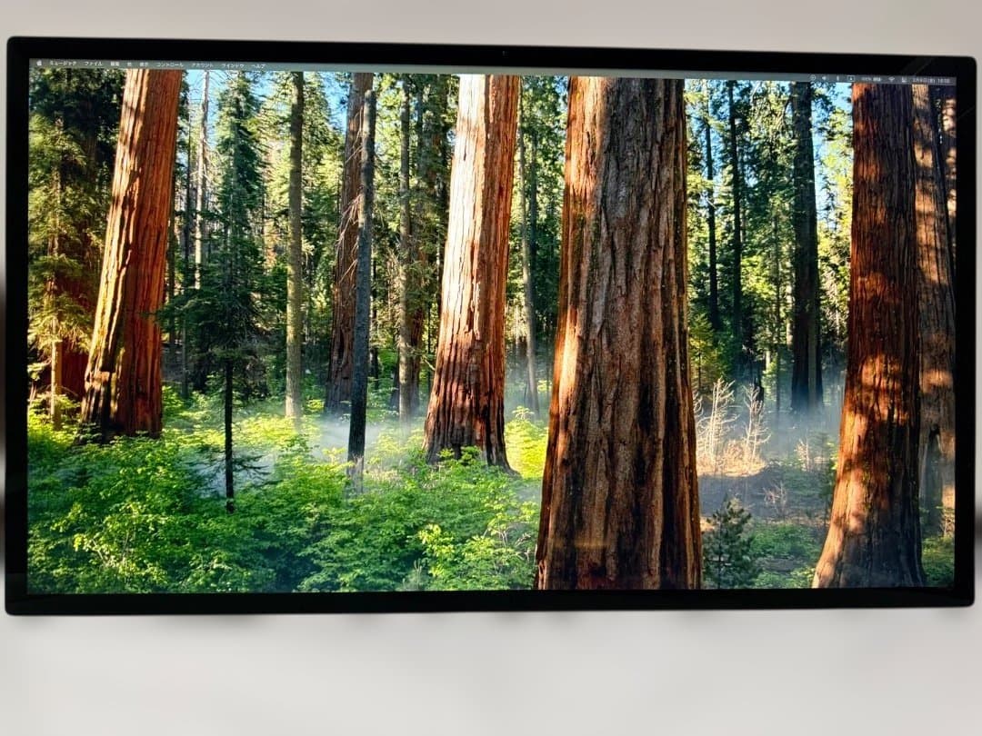 Apple studio display VESA ERGOTRON LXアーム