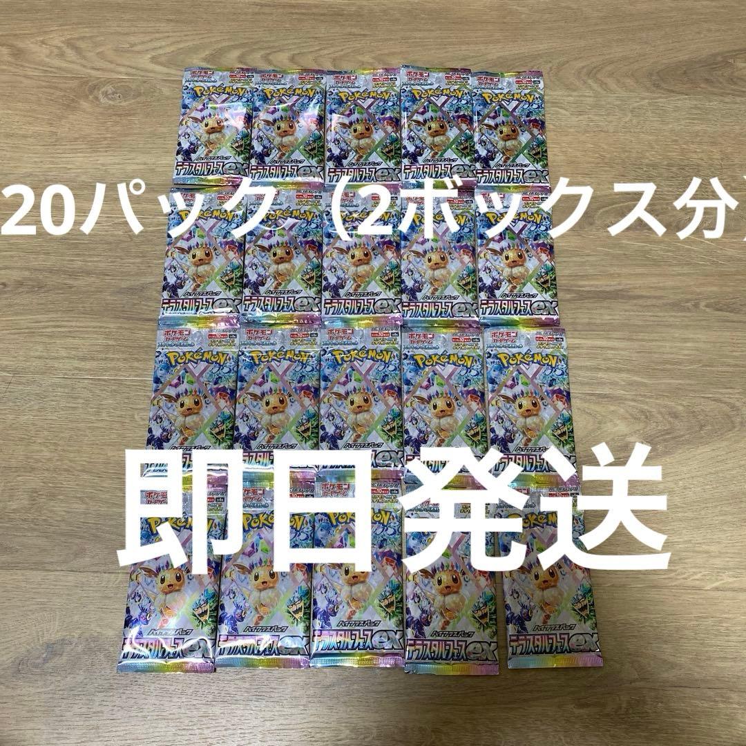 テラスタルフェス　バラ20パック　2ボックス分