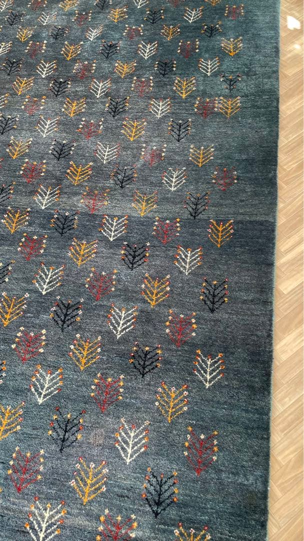 ギャッベ　ゾランヴァリ社243×169cm