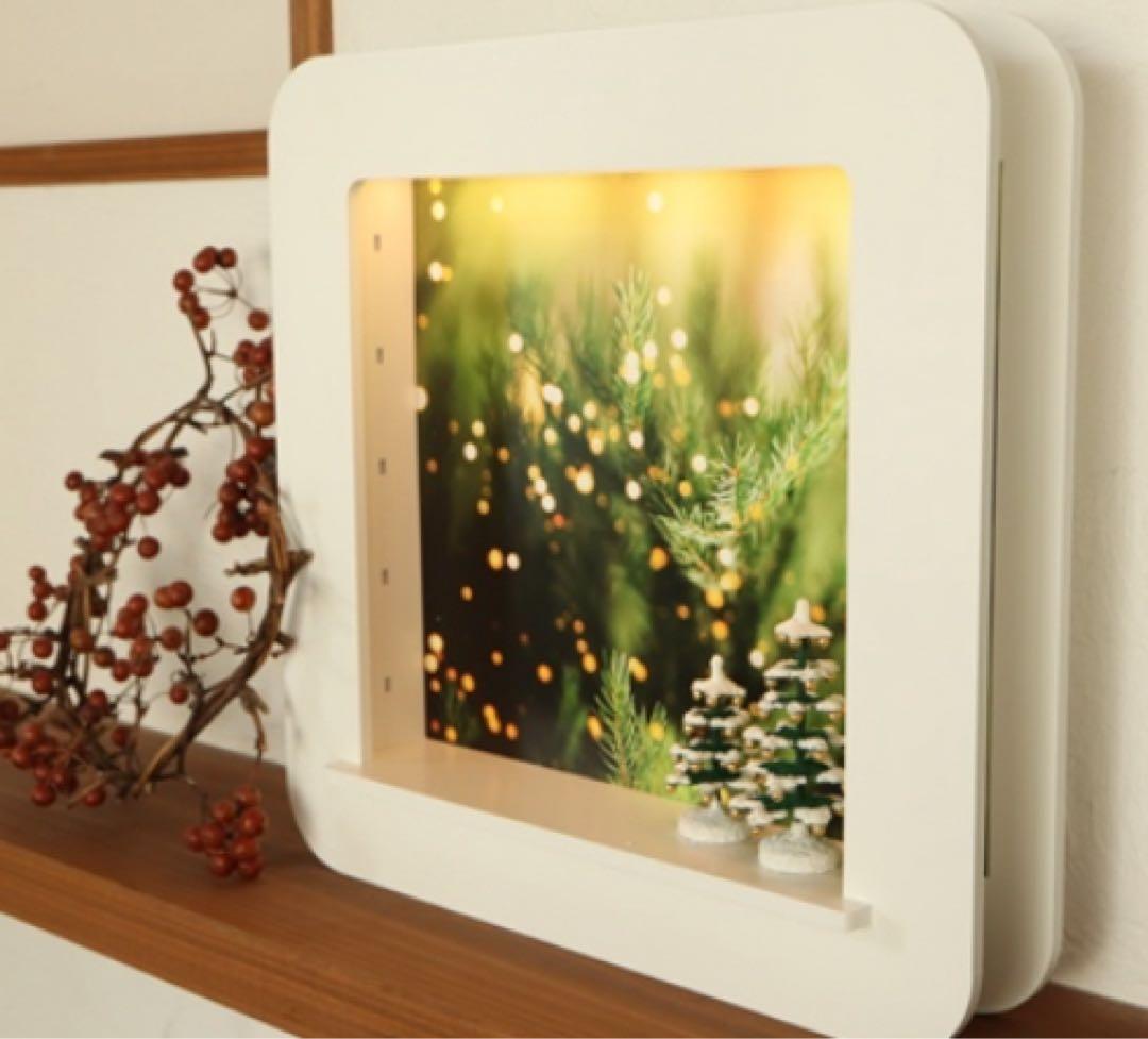 【新品】DREGENO ドレゲノ　LEDフレーム