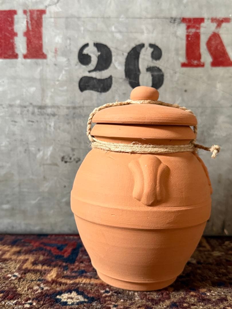 サンタマリアノヴェッラ　　テラコッタ