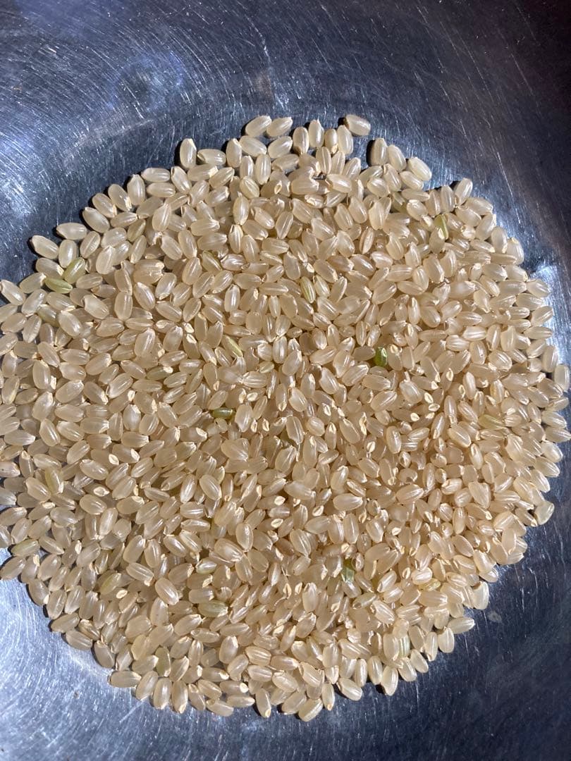 令和7年産魚沼産コシヒカリ　精米10kg