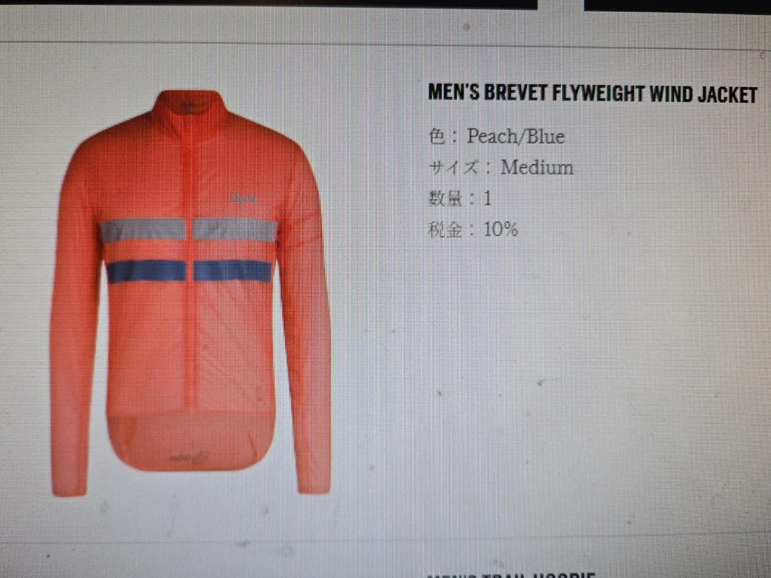 ウェア RAPHA Men's Brevet Flyweight WindJacket