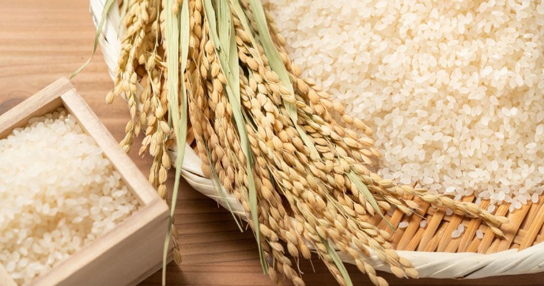 れいちゃん専用　お米