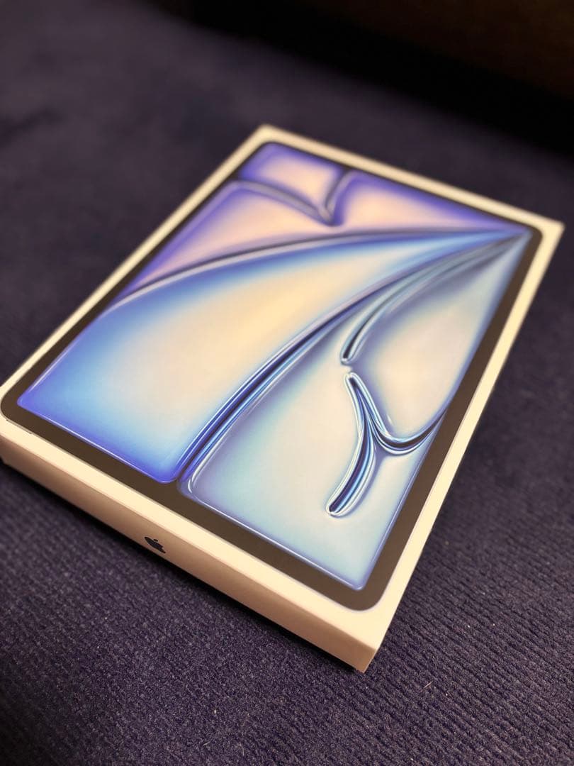 iPad Air (M2) 256GB Wi-Fi 13インチ 中古 ケース付き