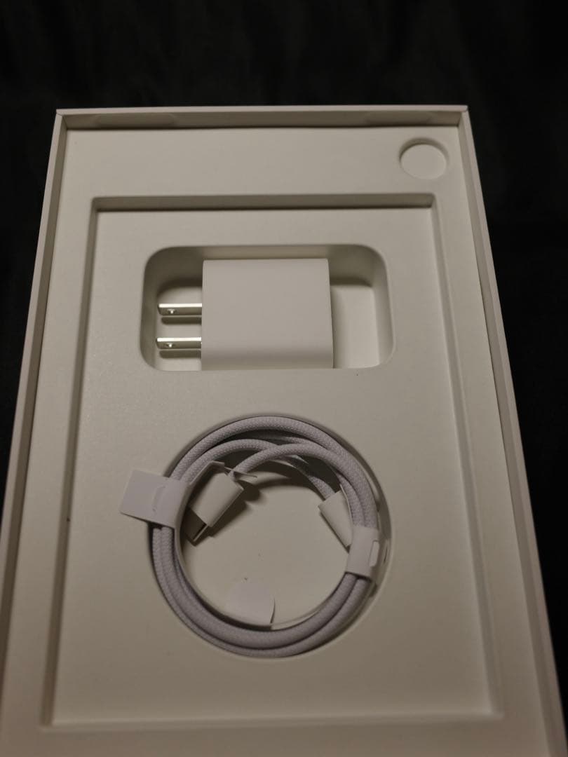 ipad mini a17 バッテリー100% AppleCare残1年5ヶ月