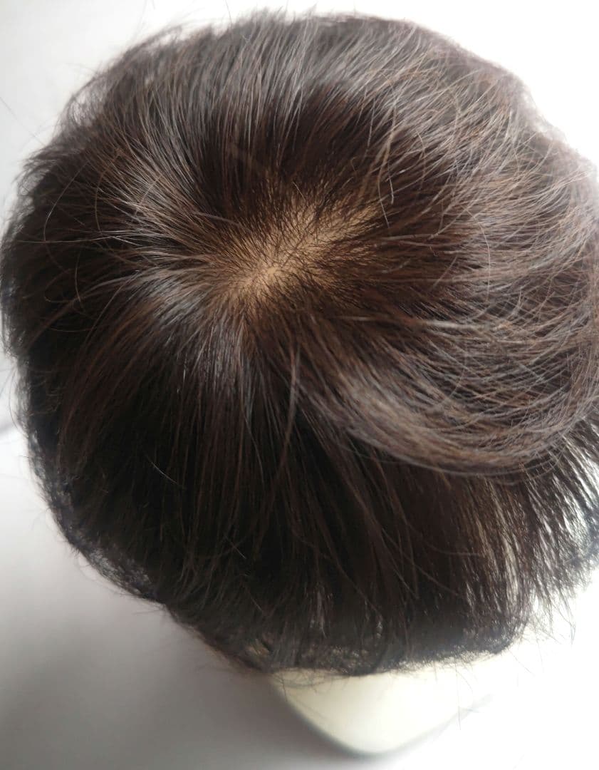 アートネイチャー　ジュリア・オージェ　ハーフウィッグ　さらら