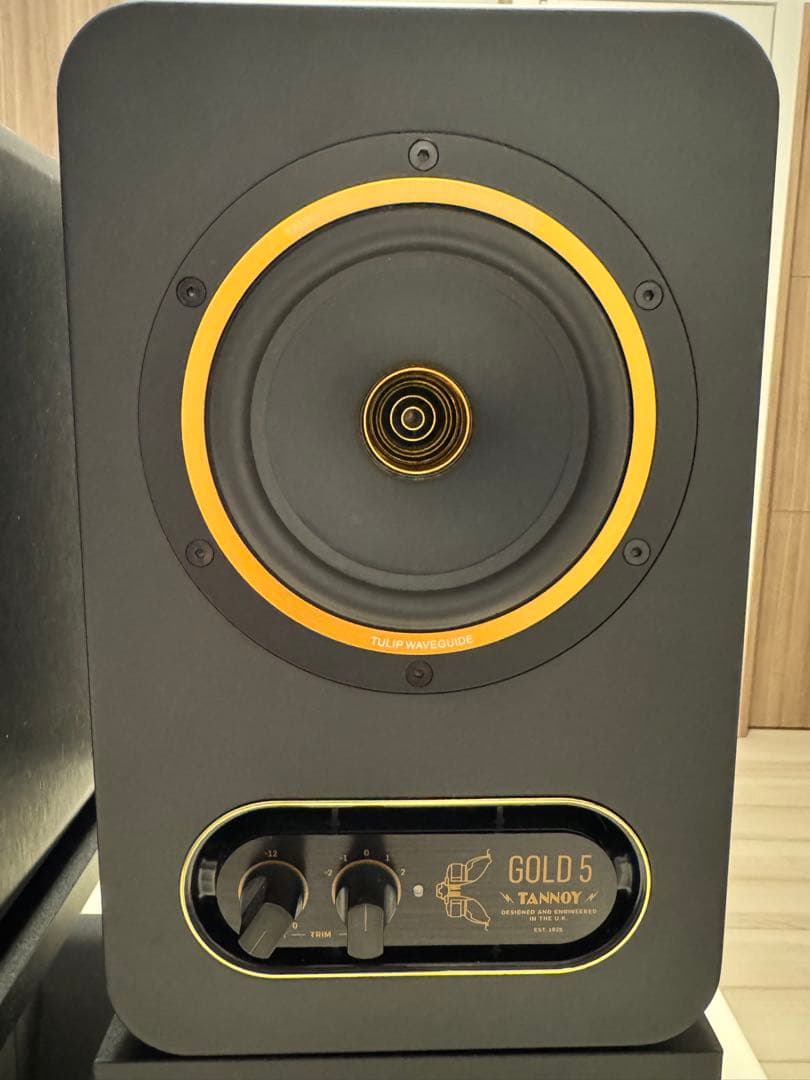 TANNOY GOLD 5 モニタースピーカー（スタンド＆インシュレーター付属）