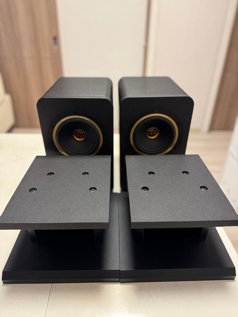 TANNOY GOLD 5 モニタースピーカー（スタンド＆インシュレーター付属）