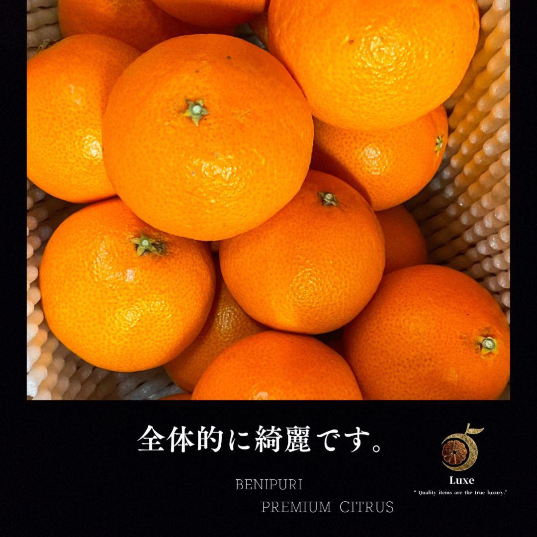 新品種‼️愛媛産　紅ぷり　紅プリンセス同品種　秀品8kg　ぷるぷるジューシー