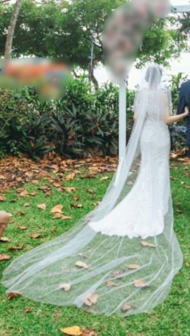 最終価格PRONOVIAS(プロノビアス)EOS　ウエディングドレス　マーメイド