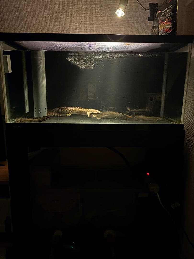 90センチガラスオーバーフロー水槽&濾過槽セット