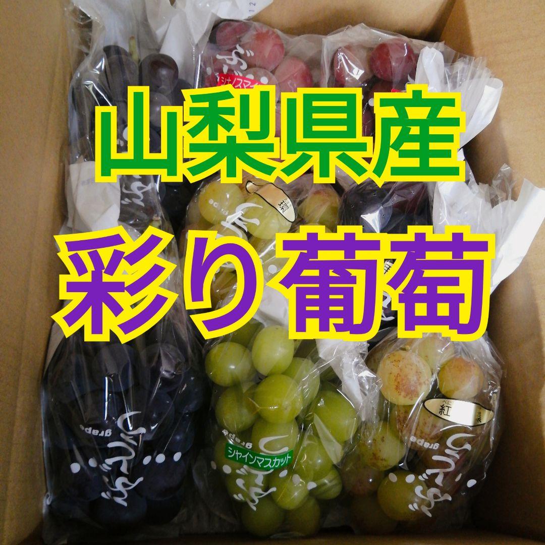 山梨県産　彩り葡萄　3kg箱