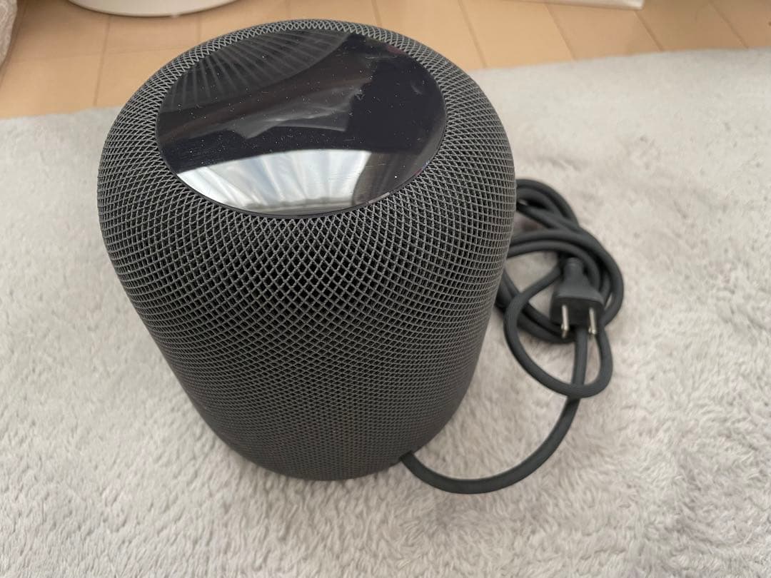 Apple Pod (第1世代) ジャンク品