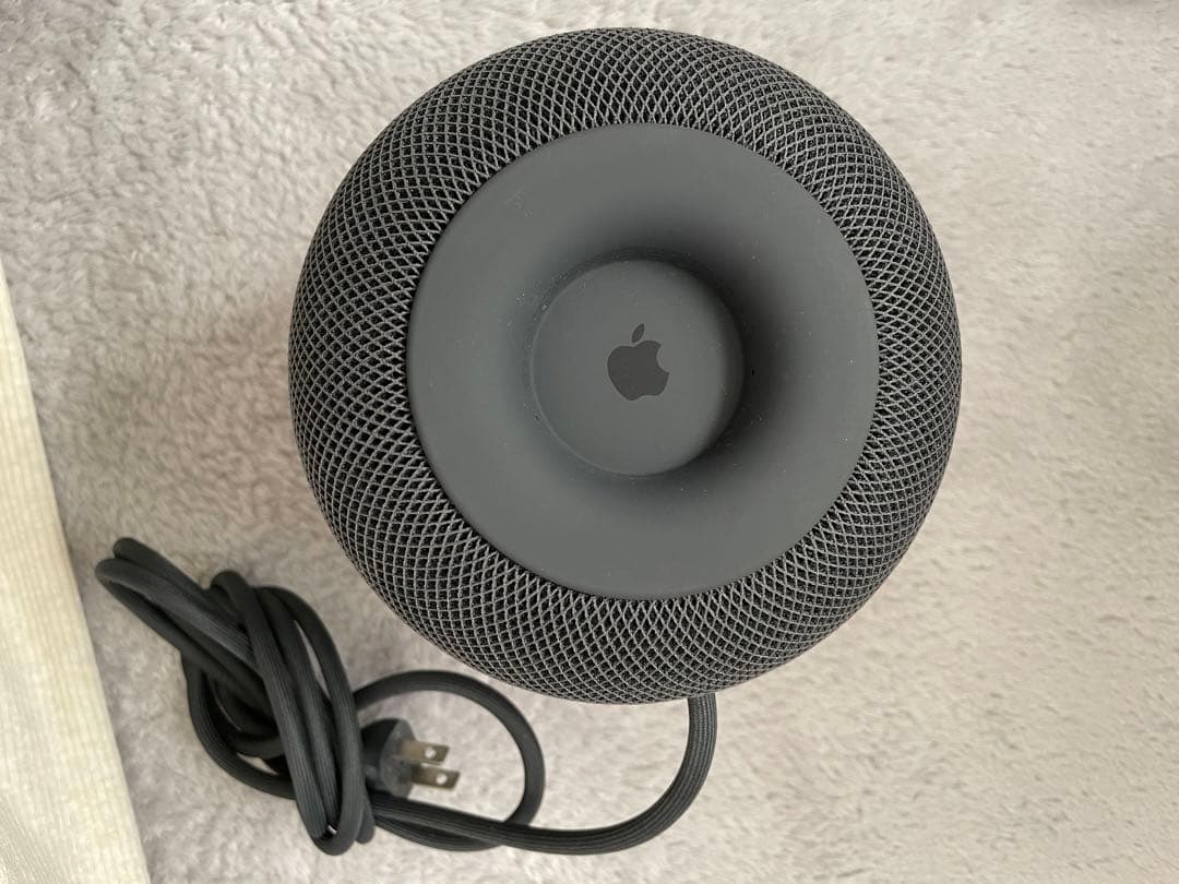 Apple Pod (第1世代) ジャンク品