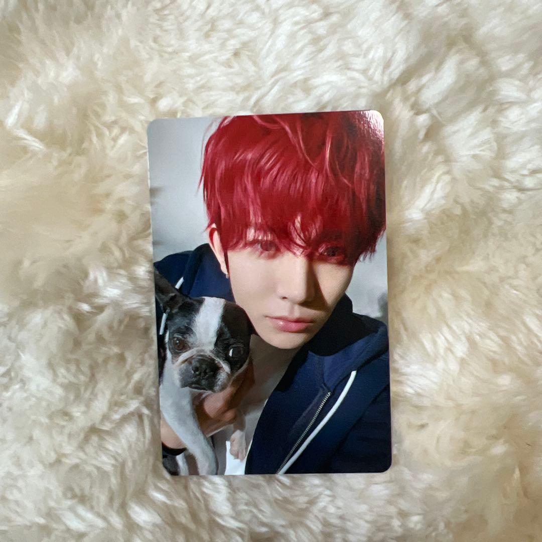 enhypen ヒスン アンケートトレカ