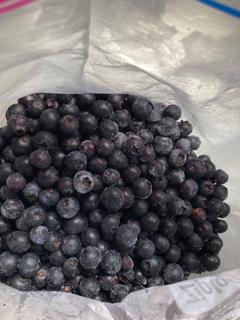 冷凍ブルーベリー　無農薬　約4.2キロ