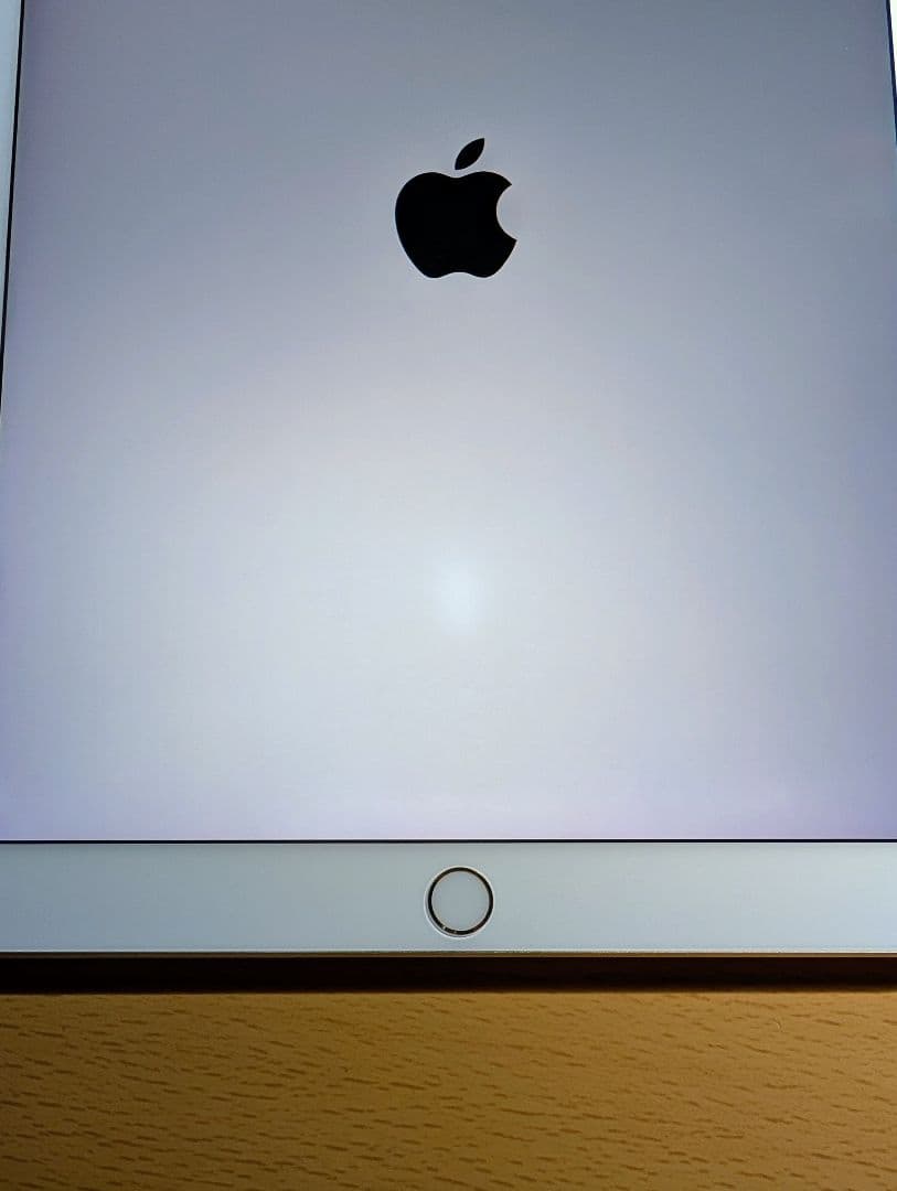 iPad Pro 10.5インチ 256GB Apple Pencil