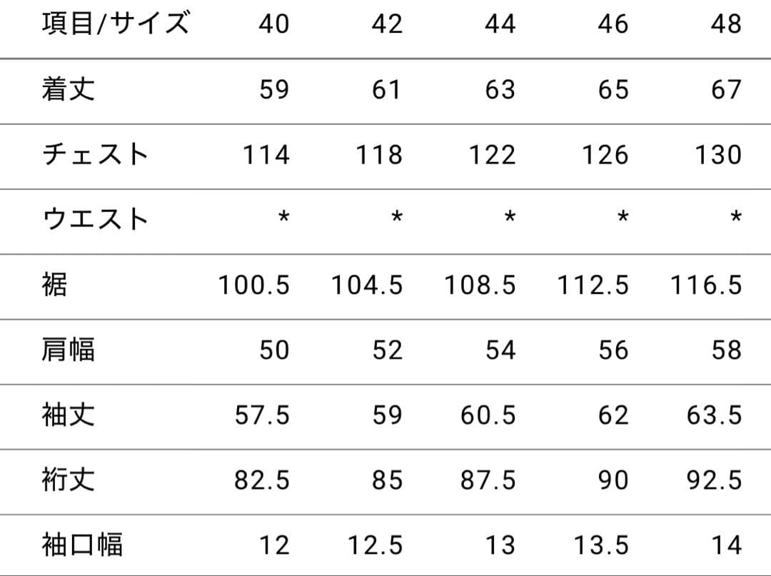 CIOTA single Pocket デニムジャケット 25SS 42