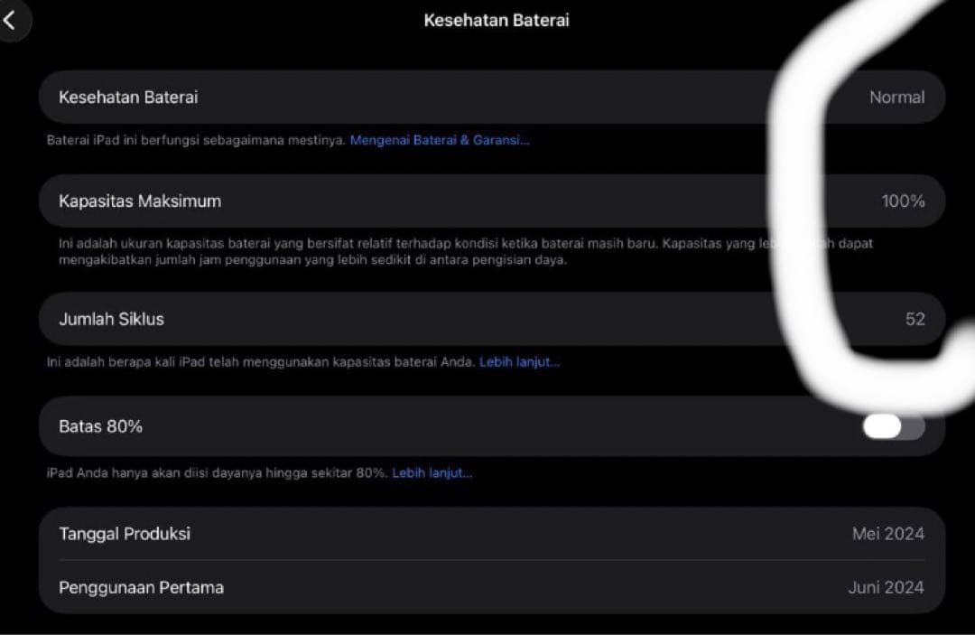 Apple iPad Air M2 13インチ Wi-Fiモデル 256GB