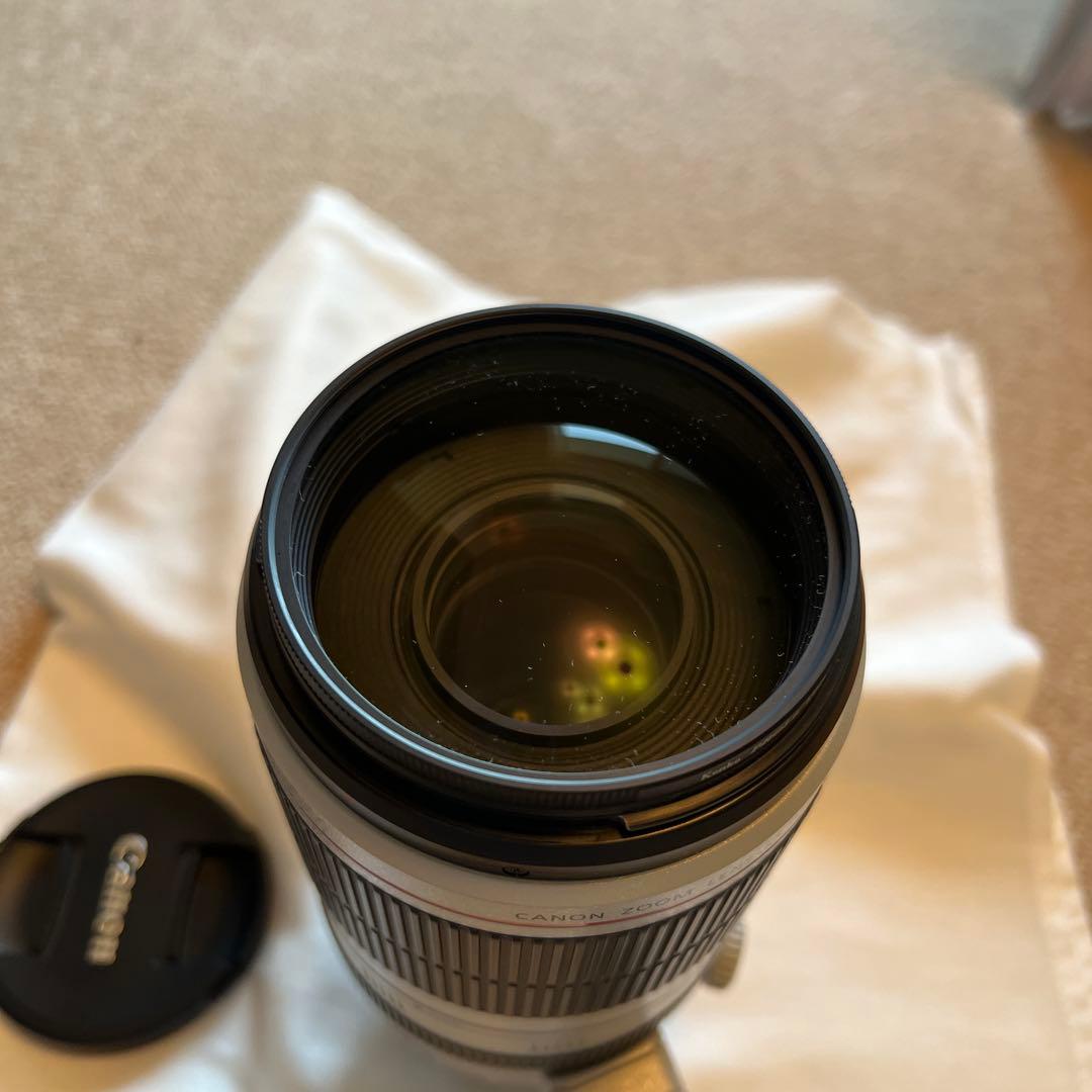 美品 Canon EF100-400mm F4.5-5.6L IS II USM