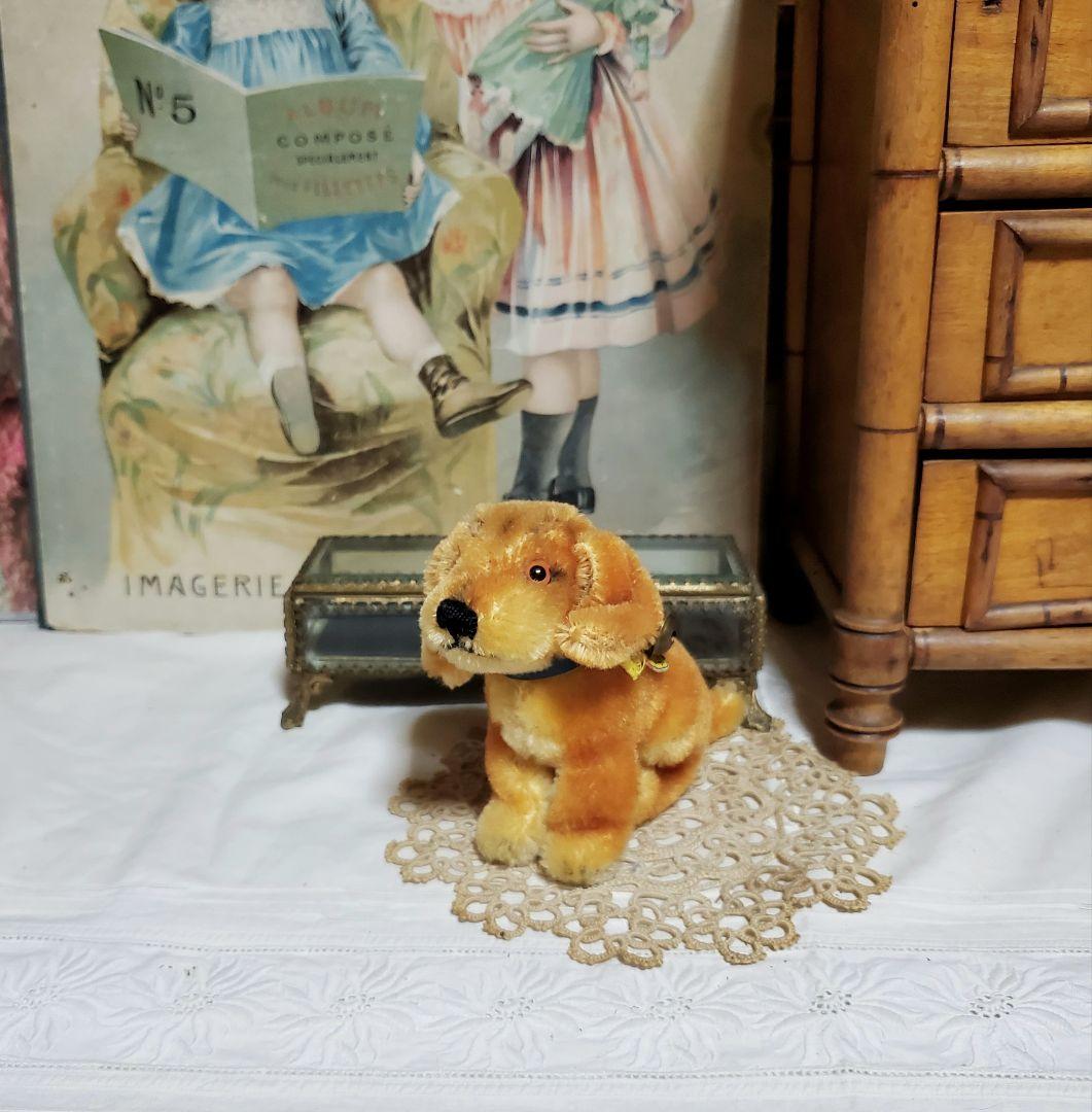 オールドシュタイフ　ダックスフント　Bazi