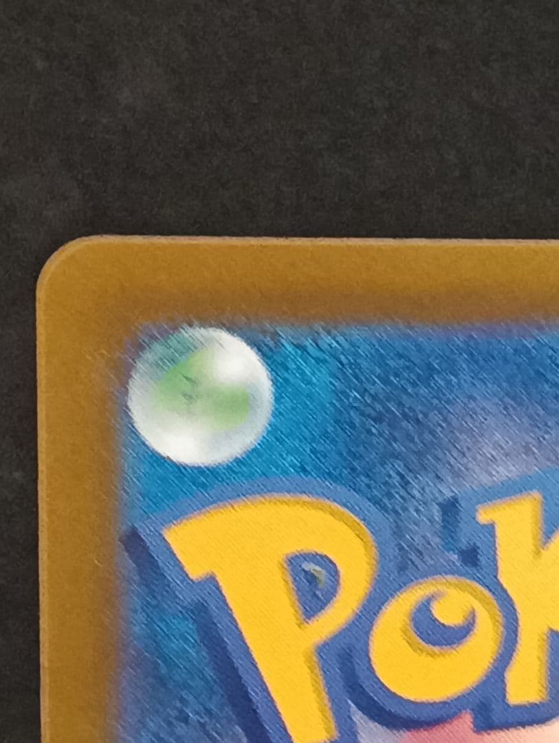 ルチアのアピール サポート トレーナーズ