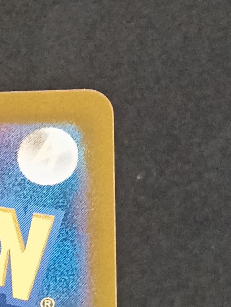 ルチアのアピール サポート トレーナーズ