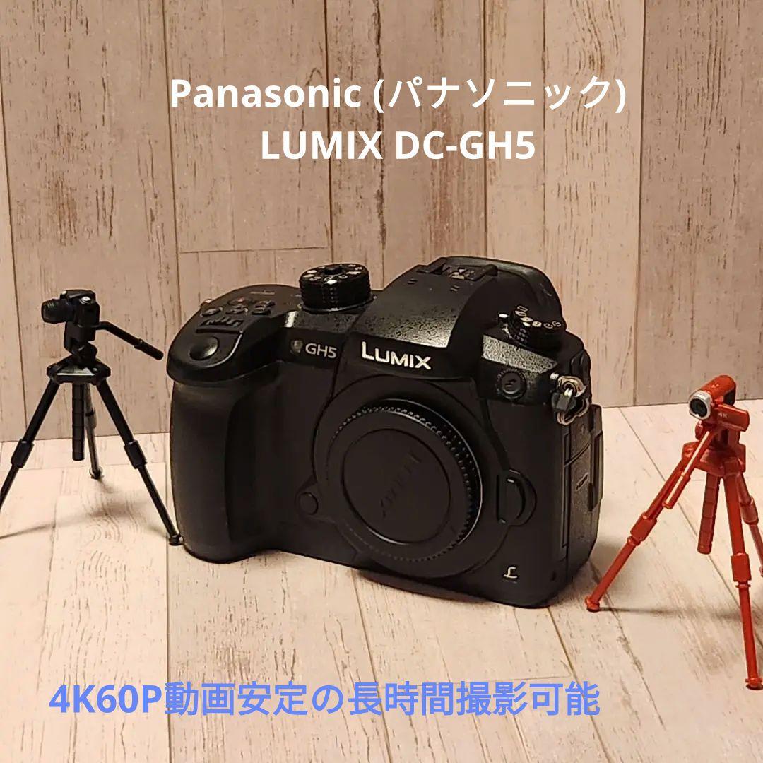 デジタルカメラ Panasonic LUMIX GH5