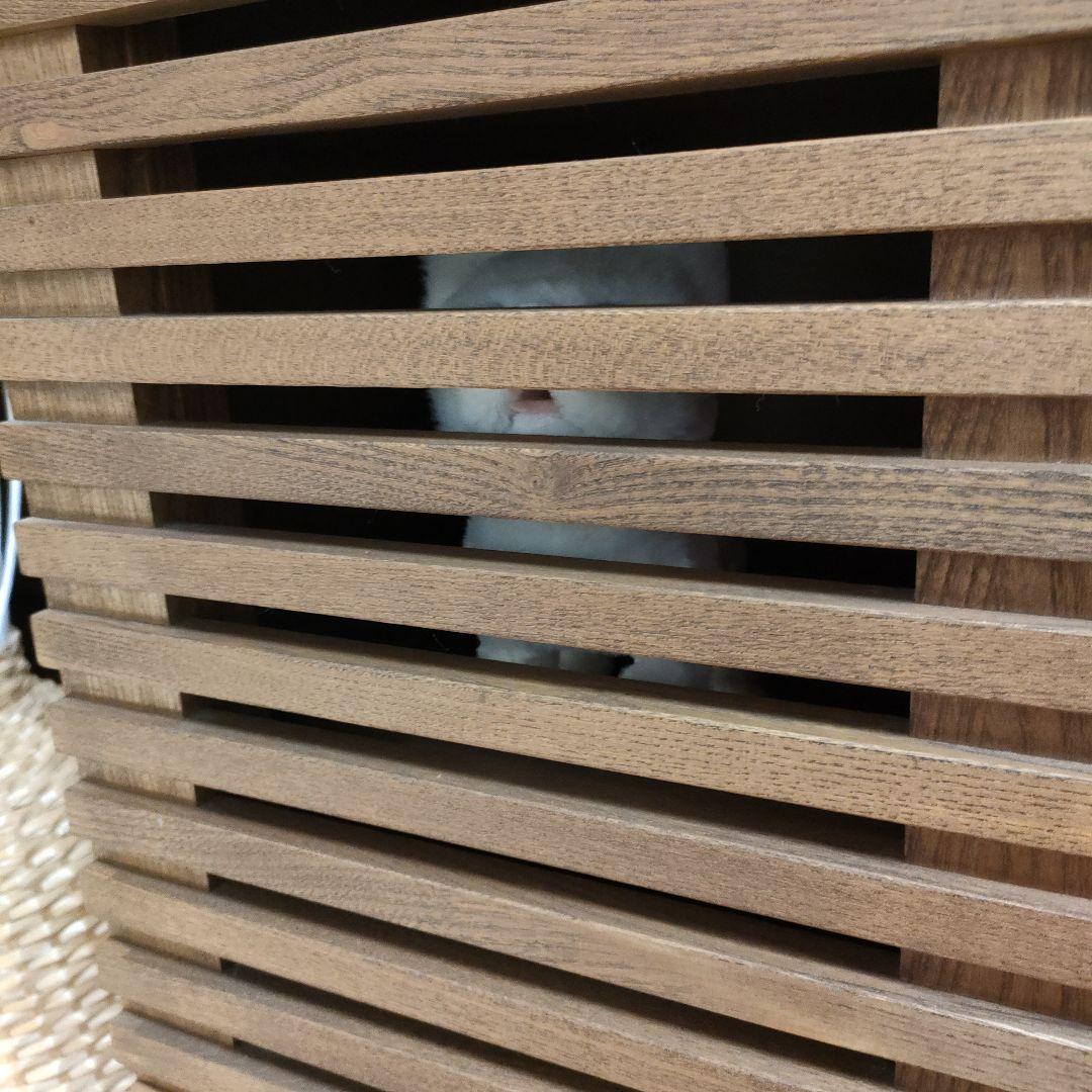 【廃盤希少】unico LIJN レイン キャビネット 北欧風 ナチュラル