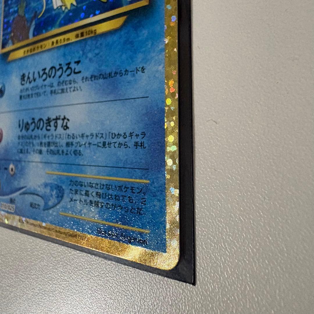 二*夫様 ひかるコイキング 25th