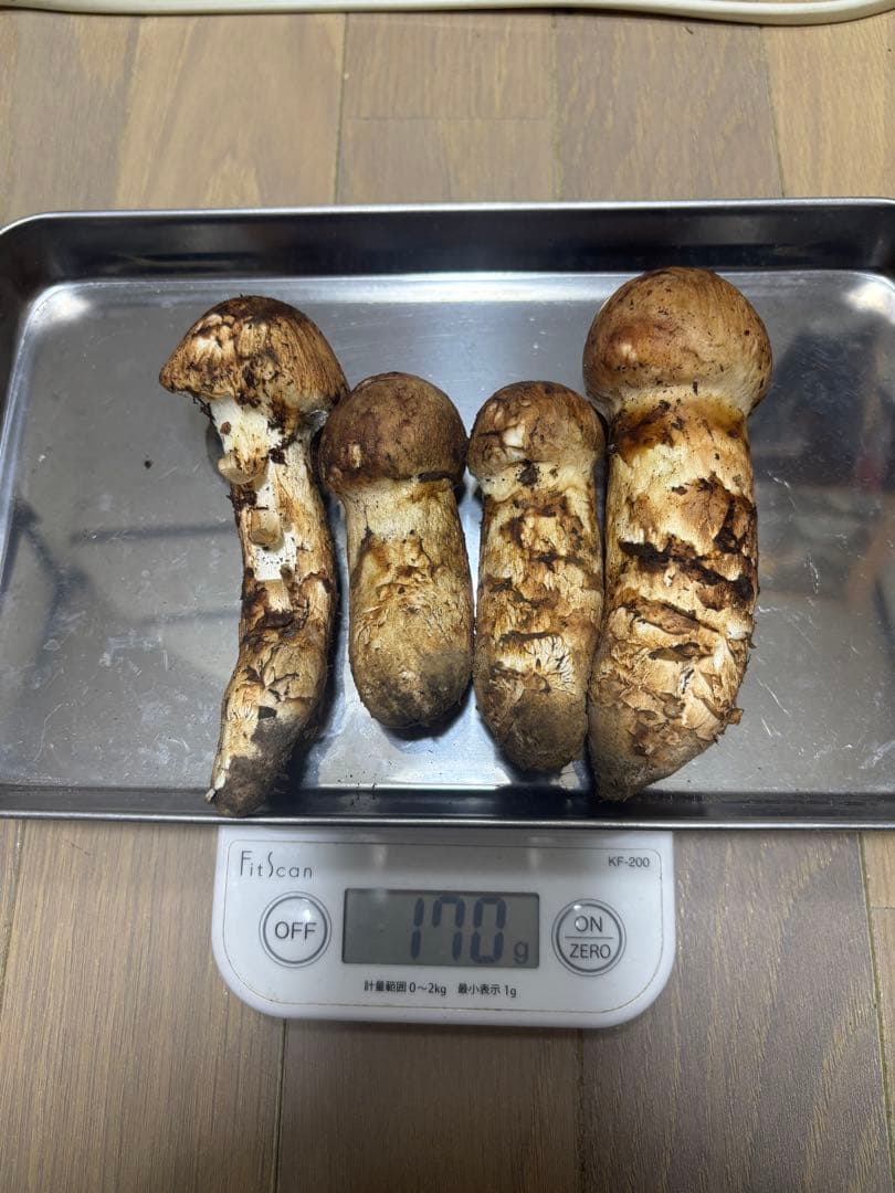 岩手県産マツタケ170g