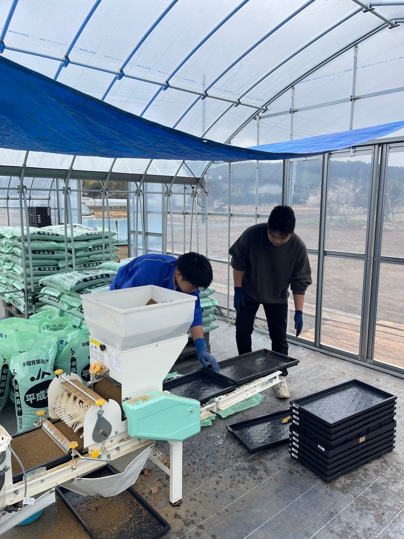 ♡最終♡令和7年千葉県いすみ市産コシヒカリ 20kg白米　無洗米　天皇献上米