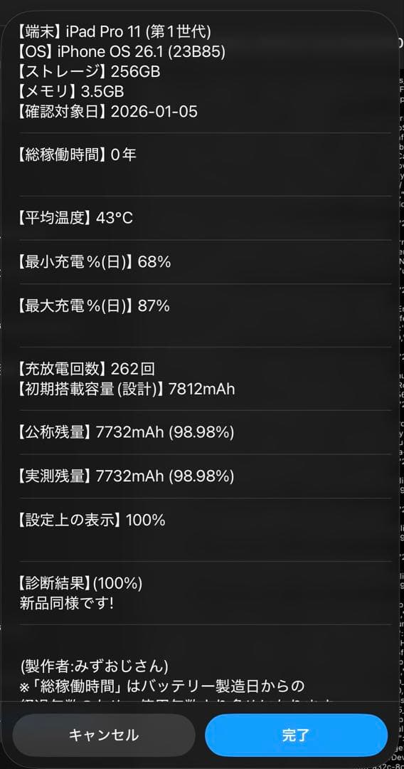iPad pro11 第一世代　Wi-Fi 256GB 状態100%