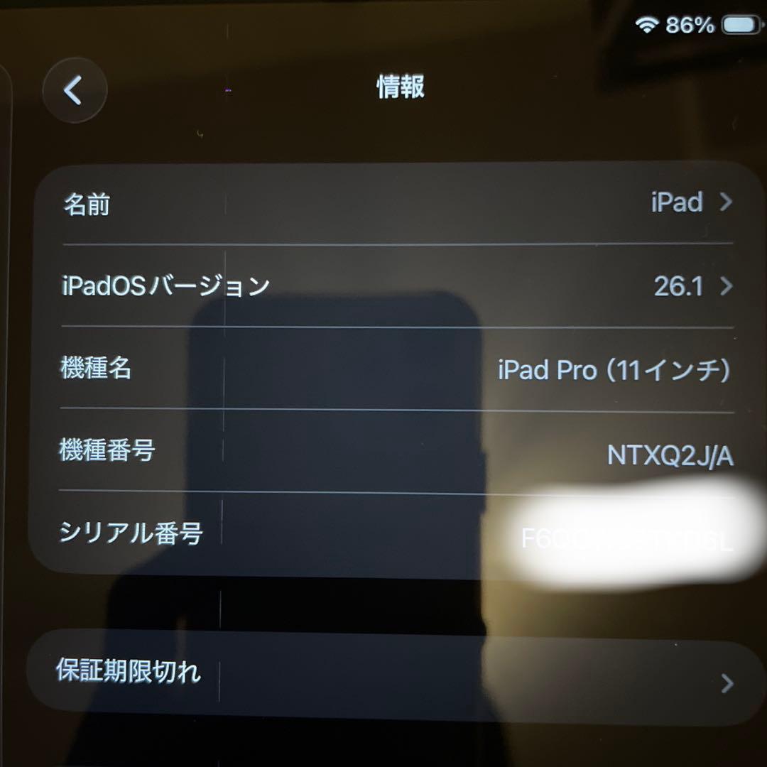 iPad pro11 第一世代　Wi-Fi 256GB 状態100%