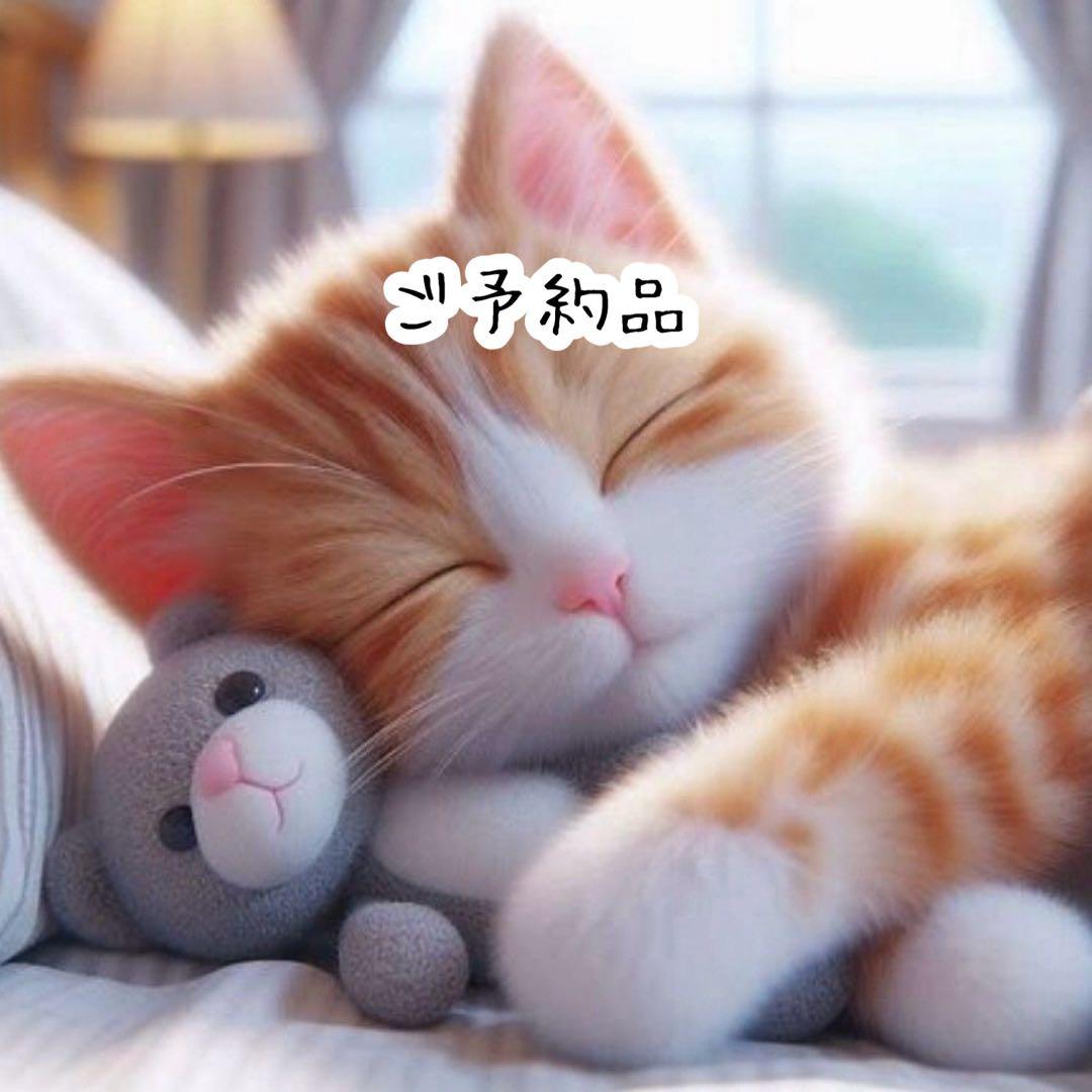 ご予約品になります。