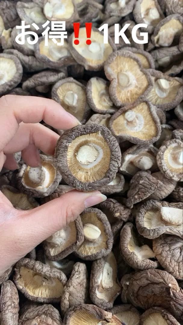 【乾燥椎茸】　1KG お得！
