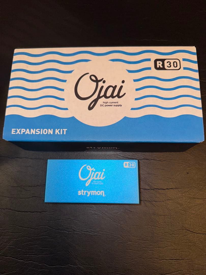 【オマケ付】strymon Ojai R30 エクスパンションキット