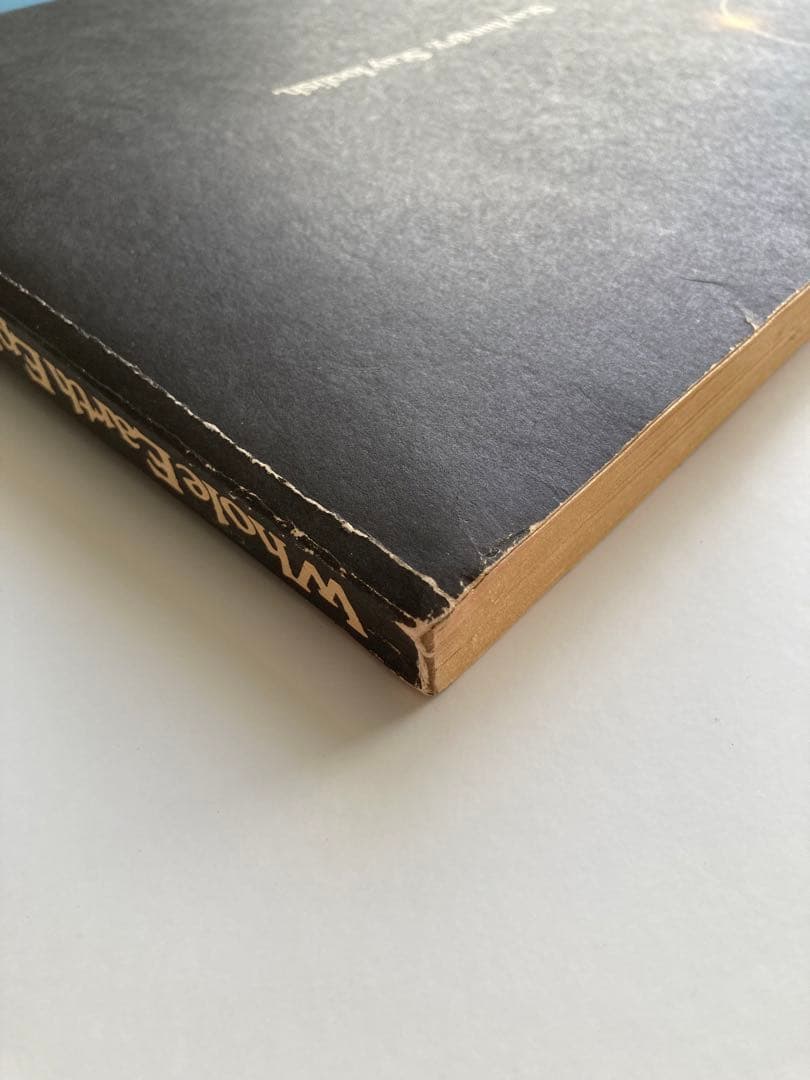 洋書 Whole Earth Epilog