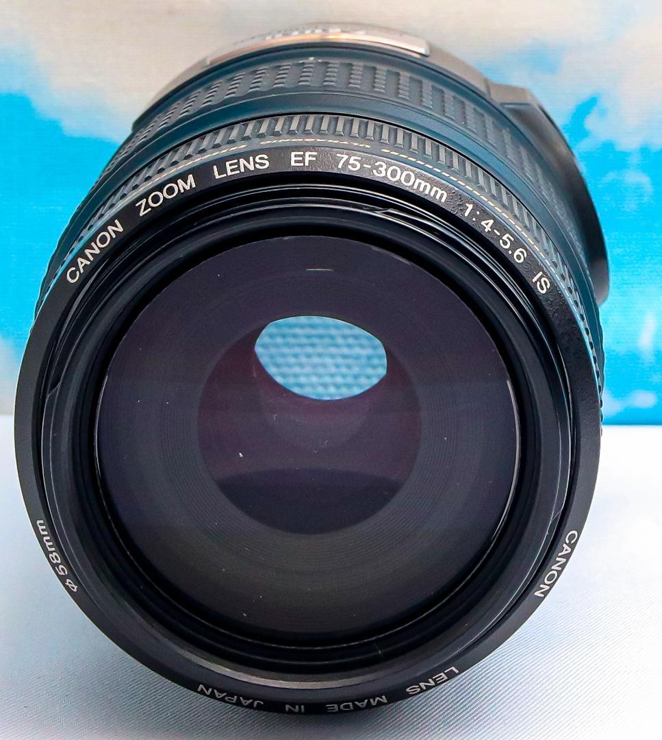 キャノン Canon EF 75-300㎜ IS ☆手振れ補正付☆フルサイズ