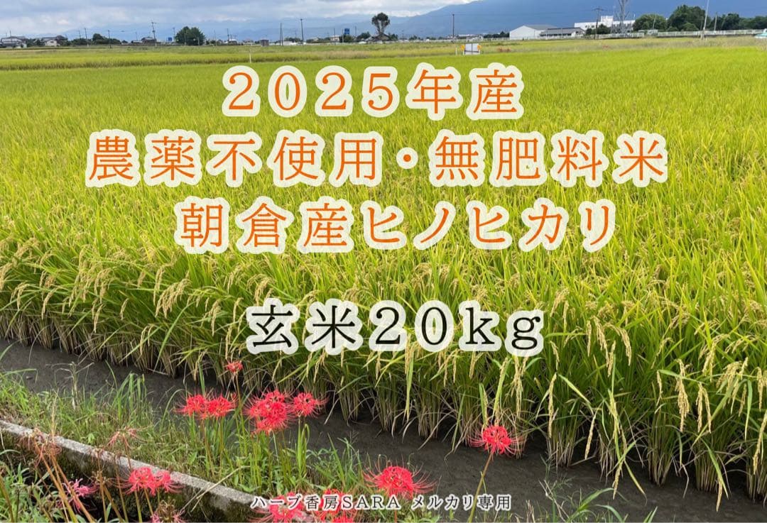 2025年産！九州・福岡県朝倉市産ヒノヒカリ玄米20キロ(農薬不使用・無肥料米)