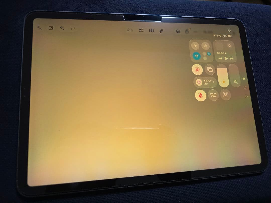 【画面焼けあり・本体のみ】iPad Pro 11インチ 第1世代 Wi-Fi