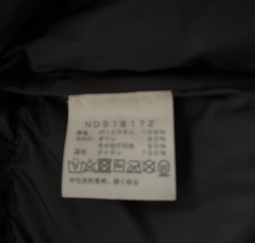 ヌプシダウン　パープル