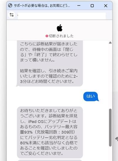 iPad Pro（第3世代）WiFi　11インチ　128GB　バッテリー残量93