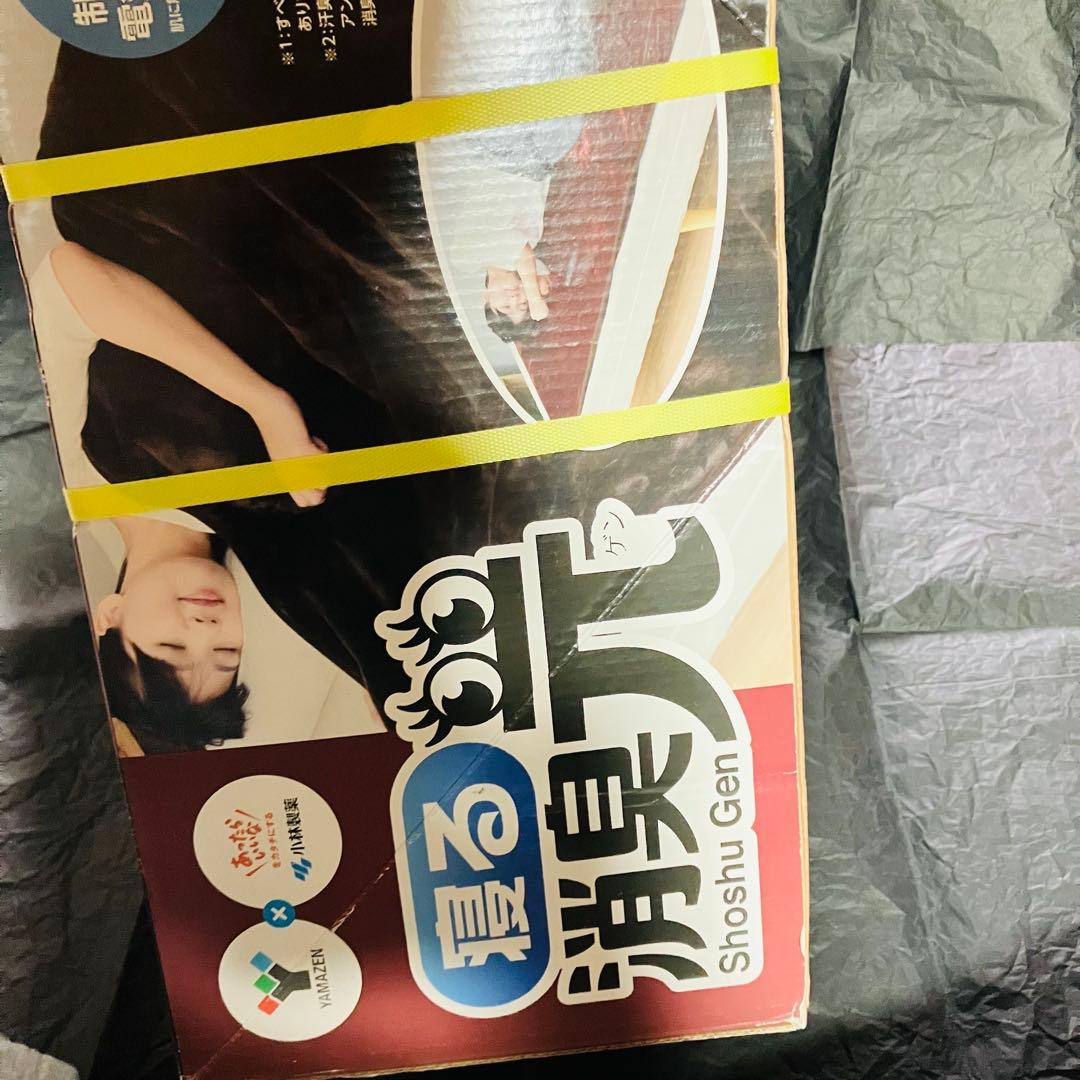 [山善] 電気掛・敷毛布 丸洗い可能 消臭元 188×130cm